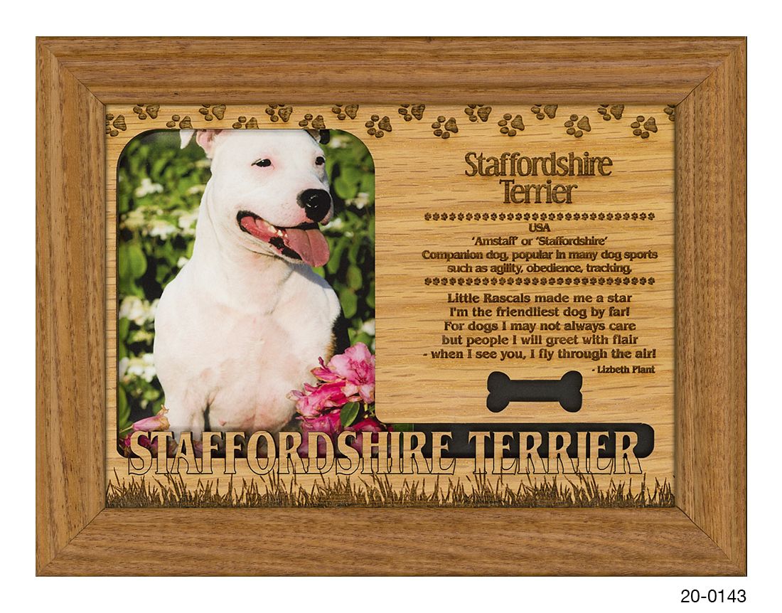 Staffordshire Terrier