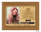 Sussex Spaniel