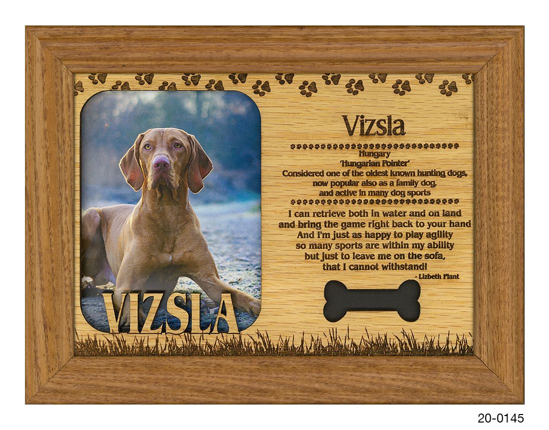 Vizsla