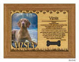 Vizsla