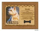 Westie