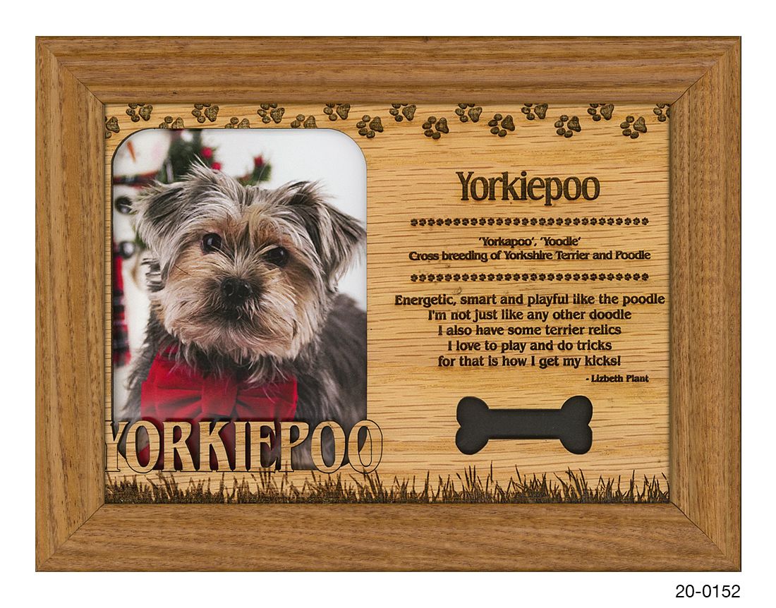 Yorkiepoo