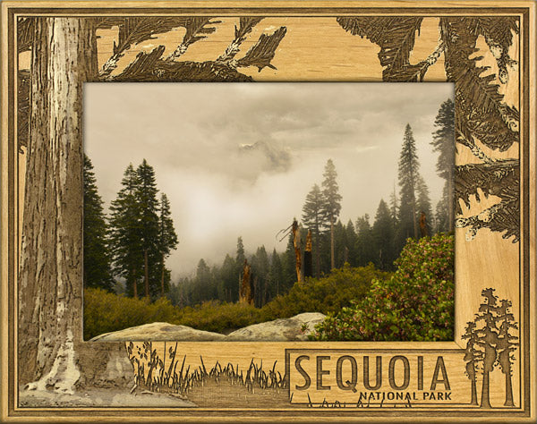 Sequoia National Park