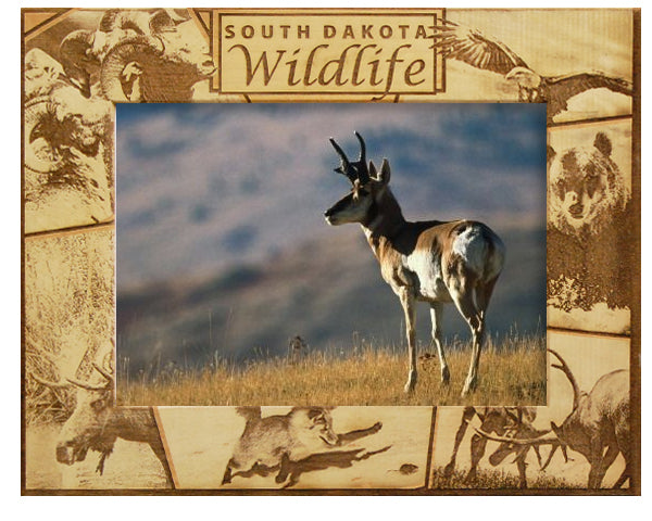 South Dakota Wildlife