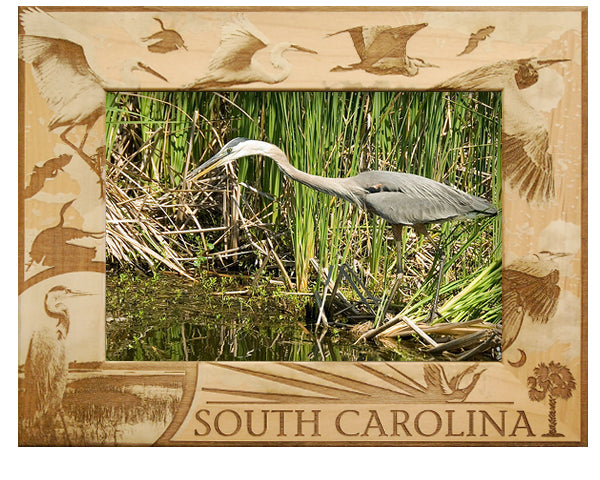 South Carolina Birds