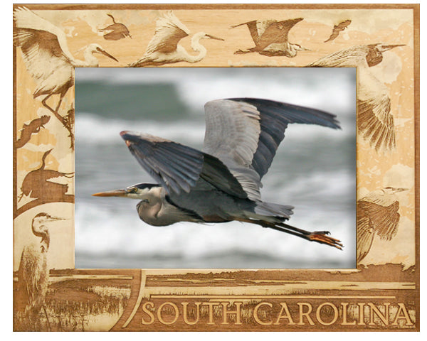 South Carolina Birds 2