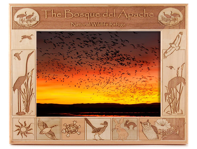 Bosque del Apache Wildlife Reserve