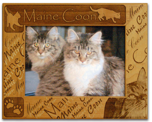 Maine Coon