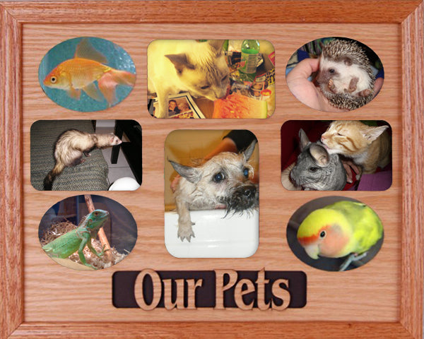 Our Pets