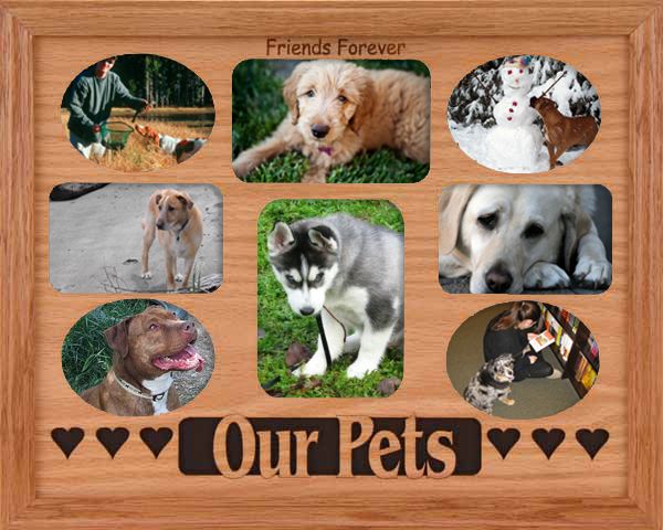 Our Pets (2)