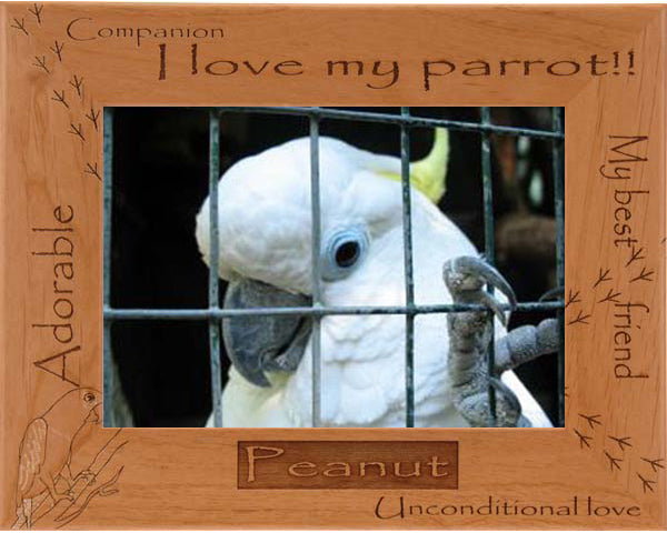 I love my parrot!!