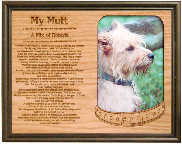 Mixed Breed Your Dog Can I Breed My Dog How To Find Out What Breed My