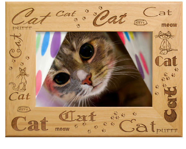 Cat Fonts