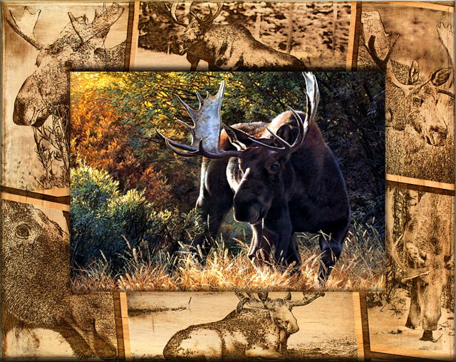 Moose Hunting Photo Frame, Moose Hunting Picture Frame Design ...