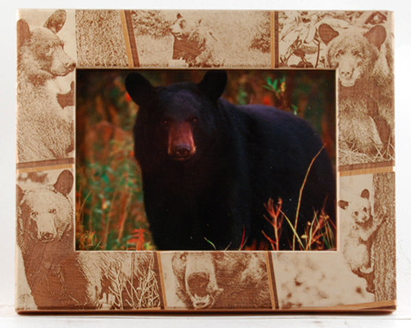 Black Bear