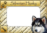 Siberian Husky - ColorWorks Magnetic Dog Breed Mattes