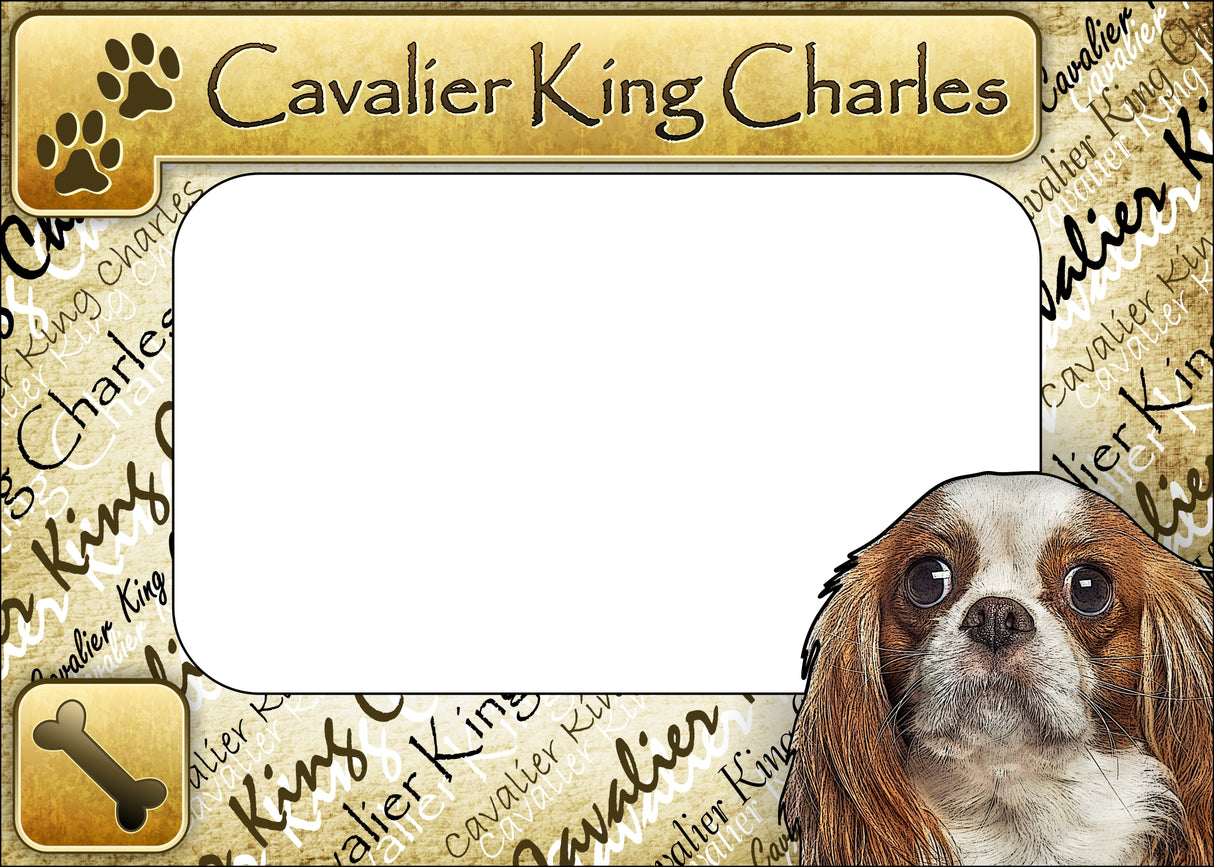 Cavalier King - ColorWorks Magnetic Dog Breed Mattes