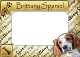 Britanny Spaniel - ColorWorks Magnetic Dog Breed Mattes