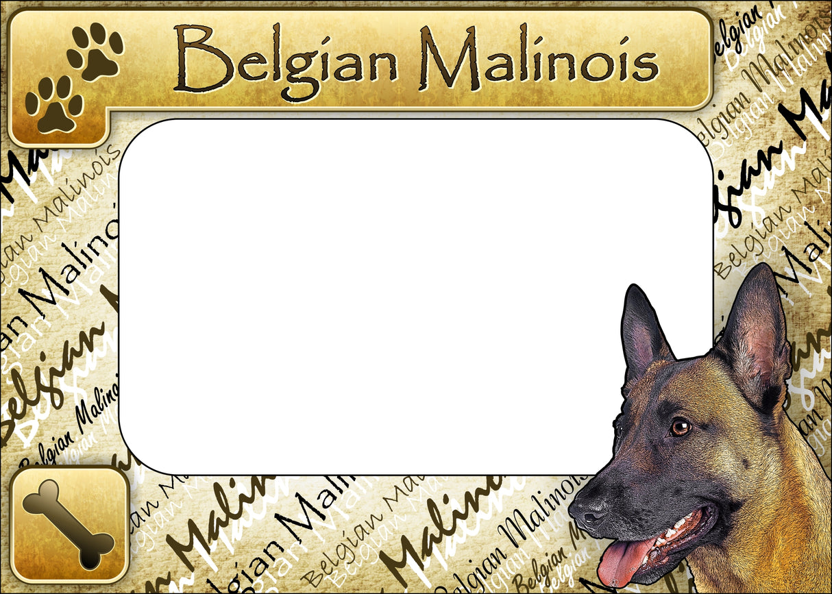 Belgian Malinois - ColorWorks Magnetic Dog Breed Mattes