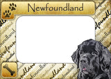 Newfoundland - ColorWorks Magnetic Dog Breed Mattes