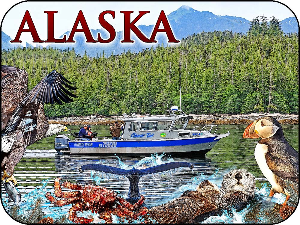 Alaska Fishing Boat & Sea Life