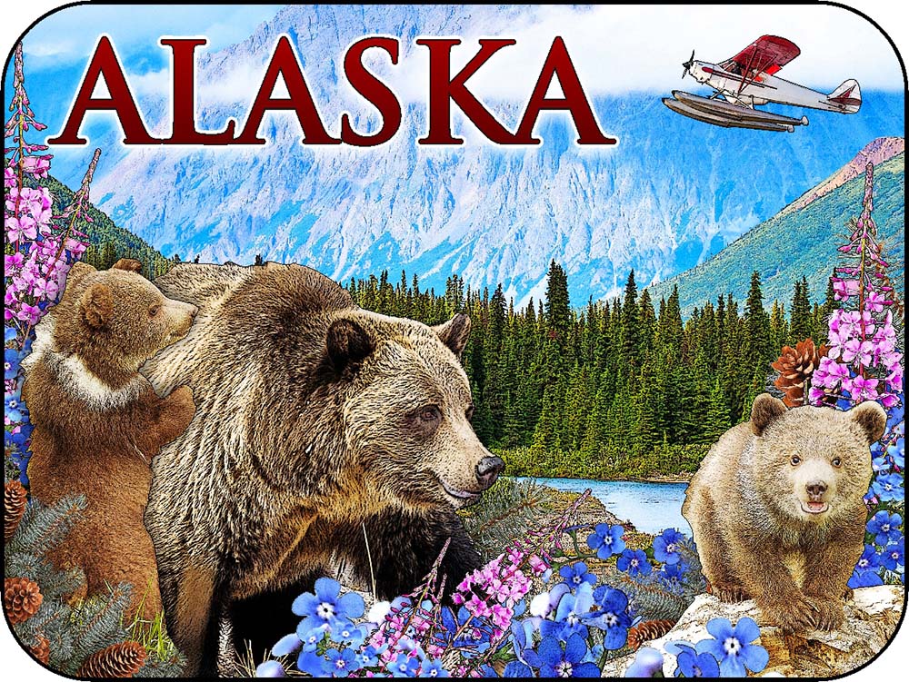 Alaska Summer Wildflowers Bear & Cubs