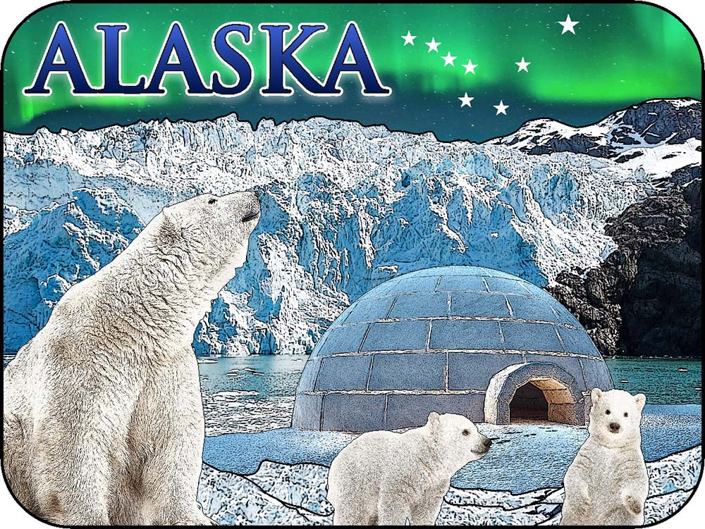 Alaska Northern Lights Polar Bears