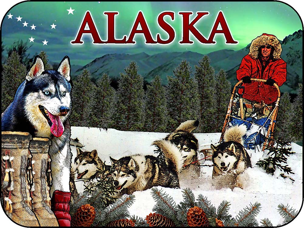 Alaska Dog Sledding Northern Lights