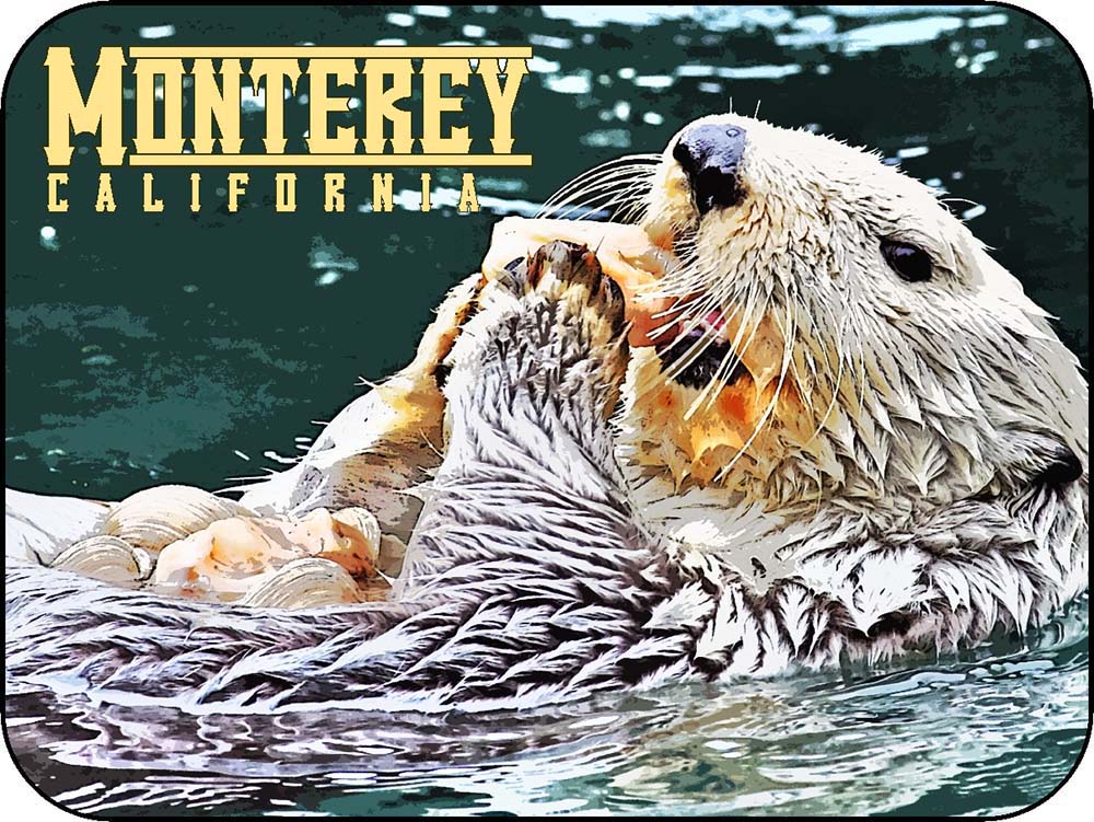 Monterey California Sea Otter