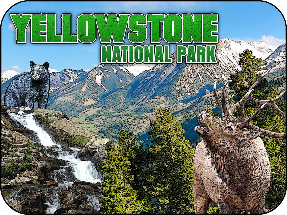 Yellowstone Nation Park Elk Bear Mountain