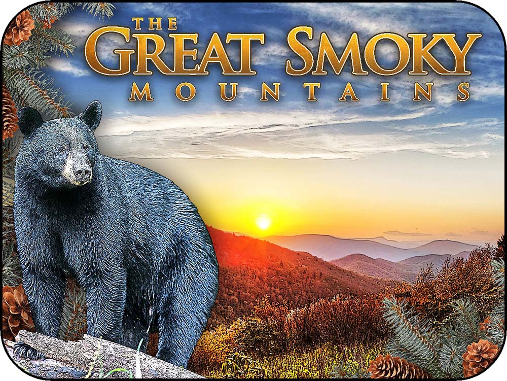 Smoky Mountains Tennessee Black Bear Sunset