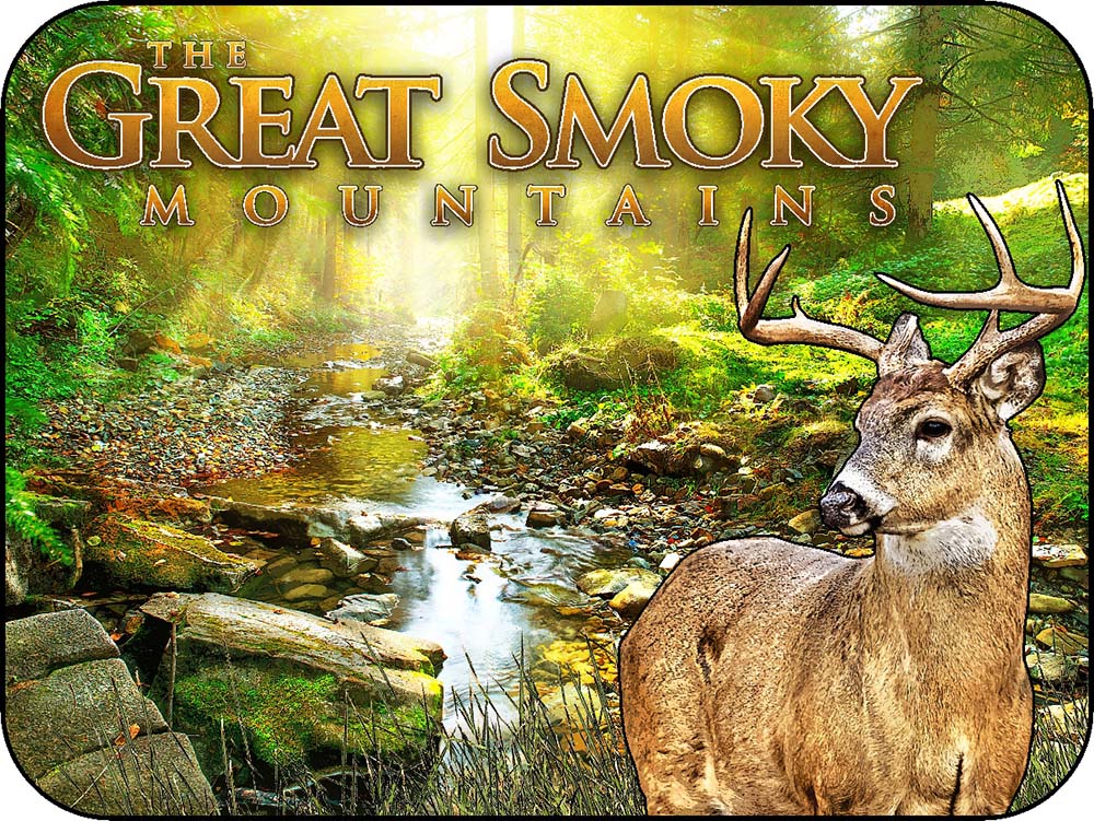 Smoky Mountains Tennessee Sunlight Creek Forest Deer