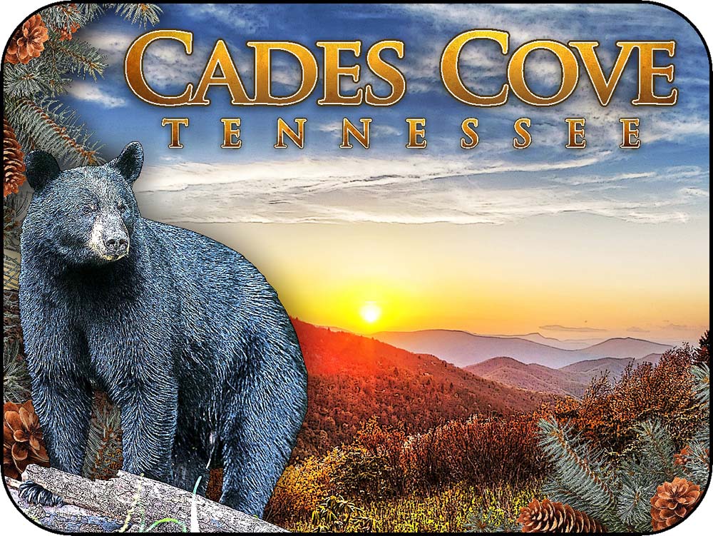 Cades Cove Tennessee Black Bear Sunset