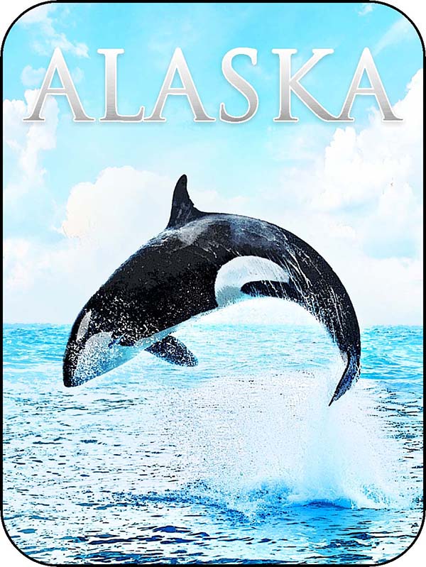 Alaska Ocean Orca Jump - Font 2