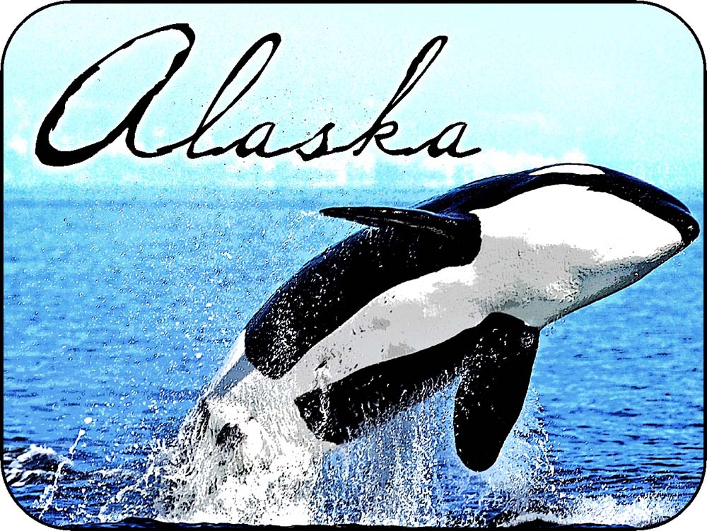 Alaska Orca Ocean Jump Script