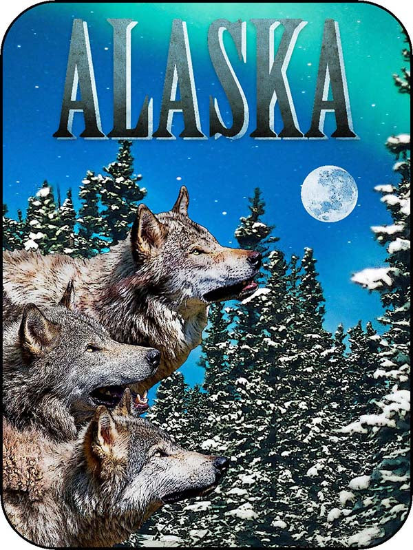 Alaska Wolf Pack Northern Lights - Vertical 4