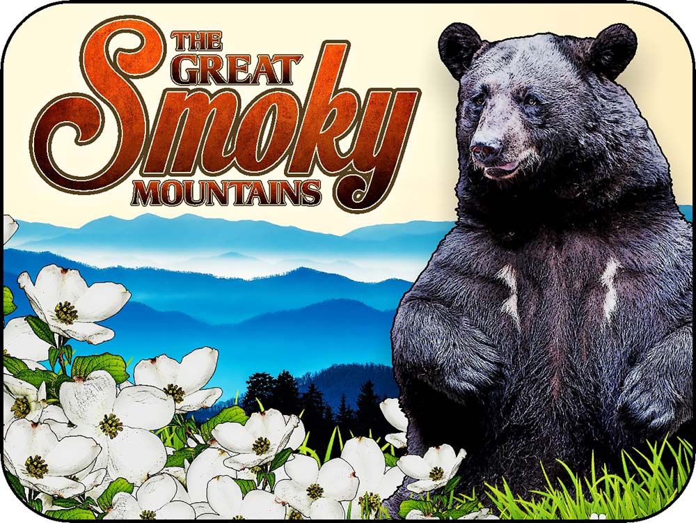 The Great Smoky Mountains Black Bear & Dogwood Flowers