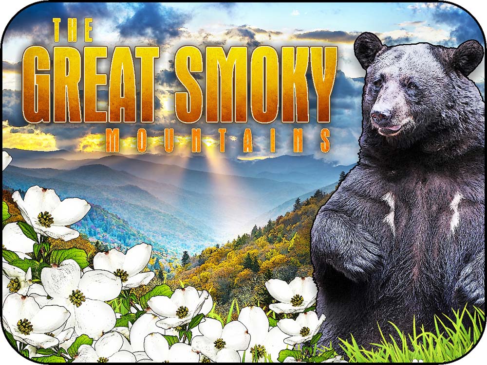 The Great Smoky Mountains Black Bear & Dogwood Flowers Sunlight Trickle