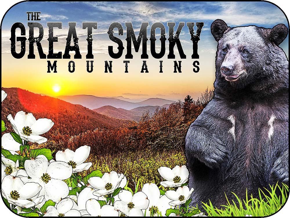 The Great Smoky Mountains Black Bear & Dogwood Flowers Dot of Sunshine