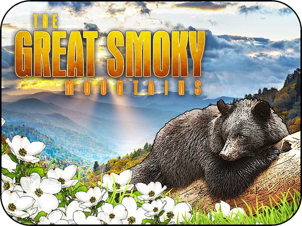 The Great Smoky Mountains Log Black Bear & Dogwood Flowers Sunlight Trickle