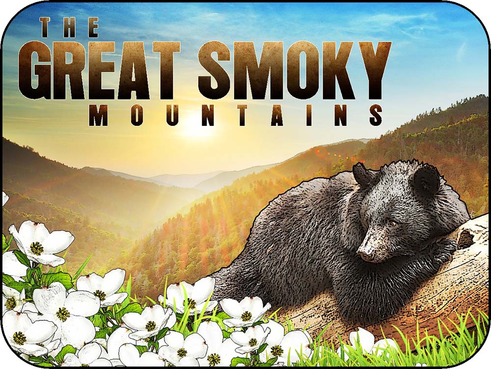 The Great Smoky Mountains Log Black Bear & Dogwood Flowers Sun Rise