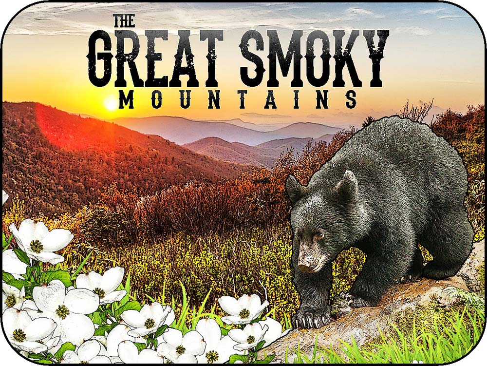 The Great Smoky Mountains Log Cub Black Bear & Dogwood Flowers Dot of Sunshine