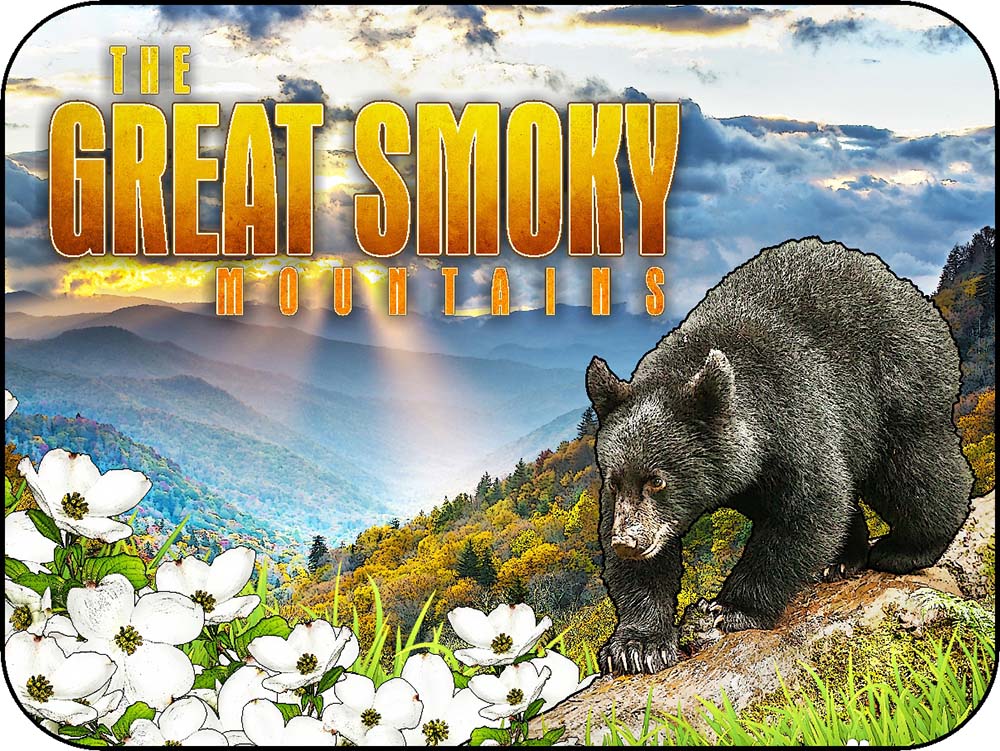 The Great Smoky Mountains Log Cub Black Bear & Dogwood Flowers Sunlight Trickle