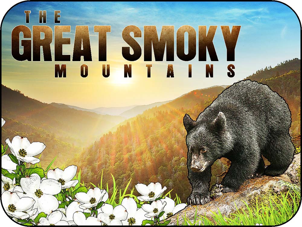 The Great Smoky Mountains Log Cub Black Bear & Dogwood Flowers Sun Rise