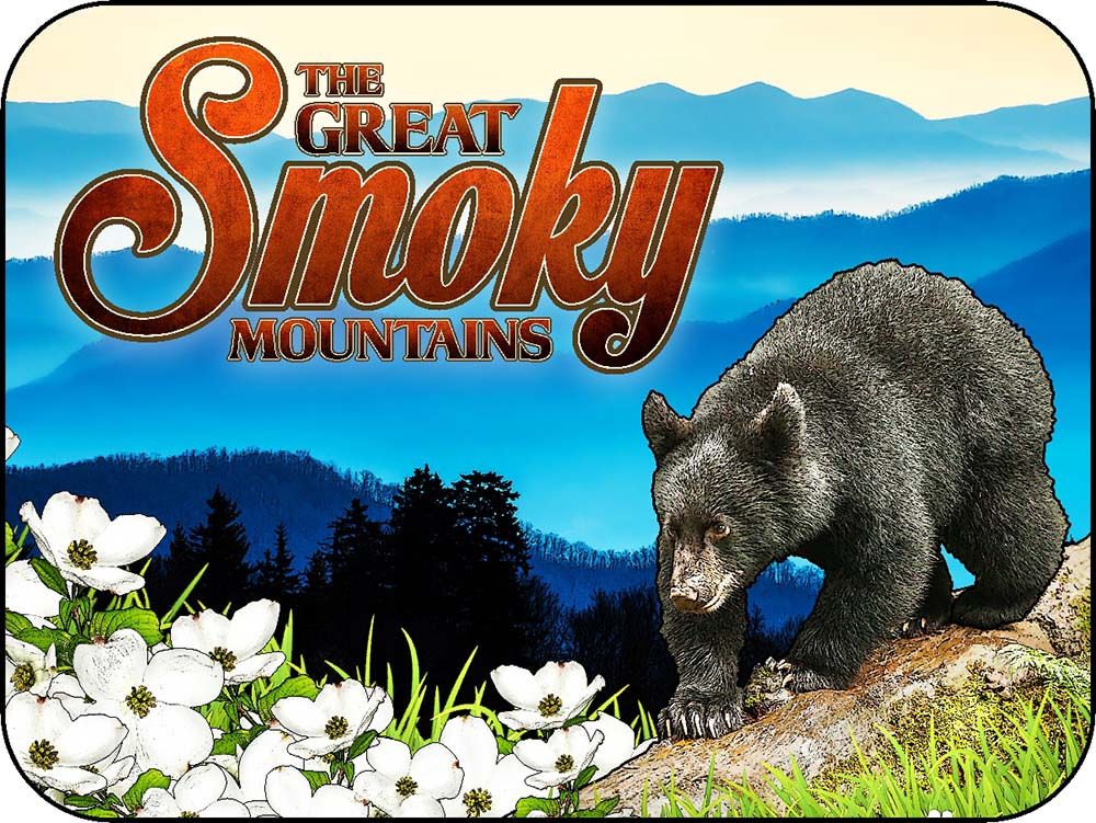 The Great Smoky Mountains Log Cub Black Bear & Dogwood Flowers