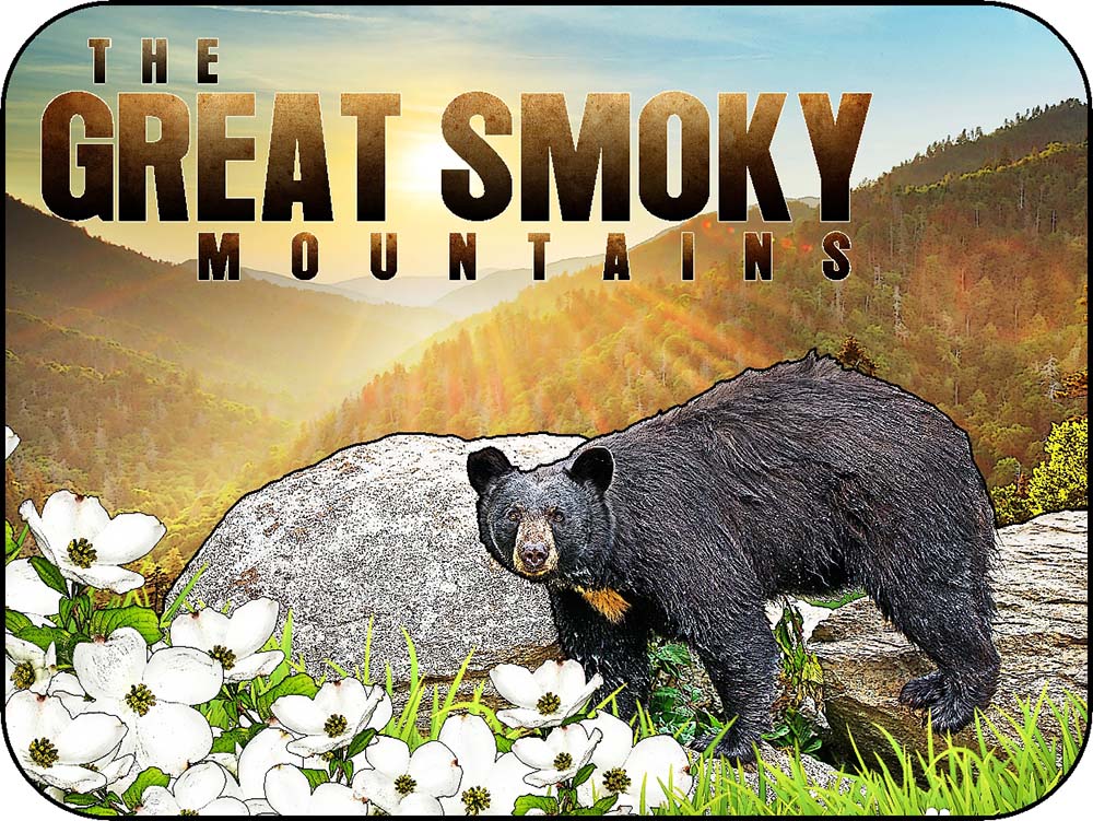 The Great Smoky Mountains Bear on the Rocks Dogwood Flowers Sun Rise