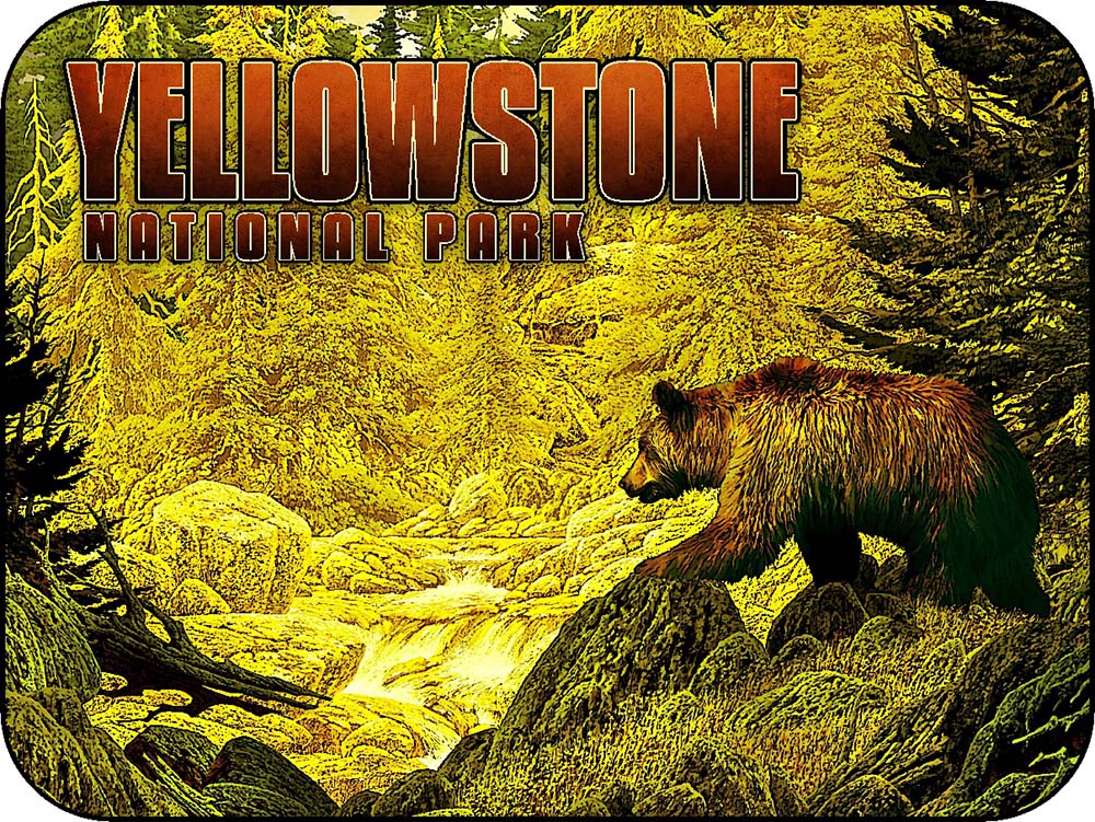 Yellowstone Grizzly Bear Stylized Forest