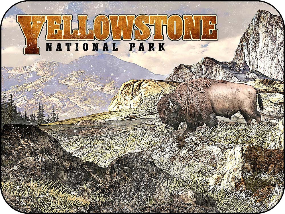 Yellowstone Rocky Bison