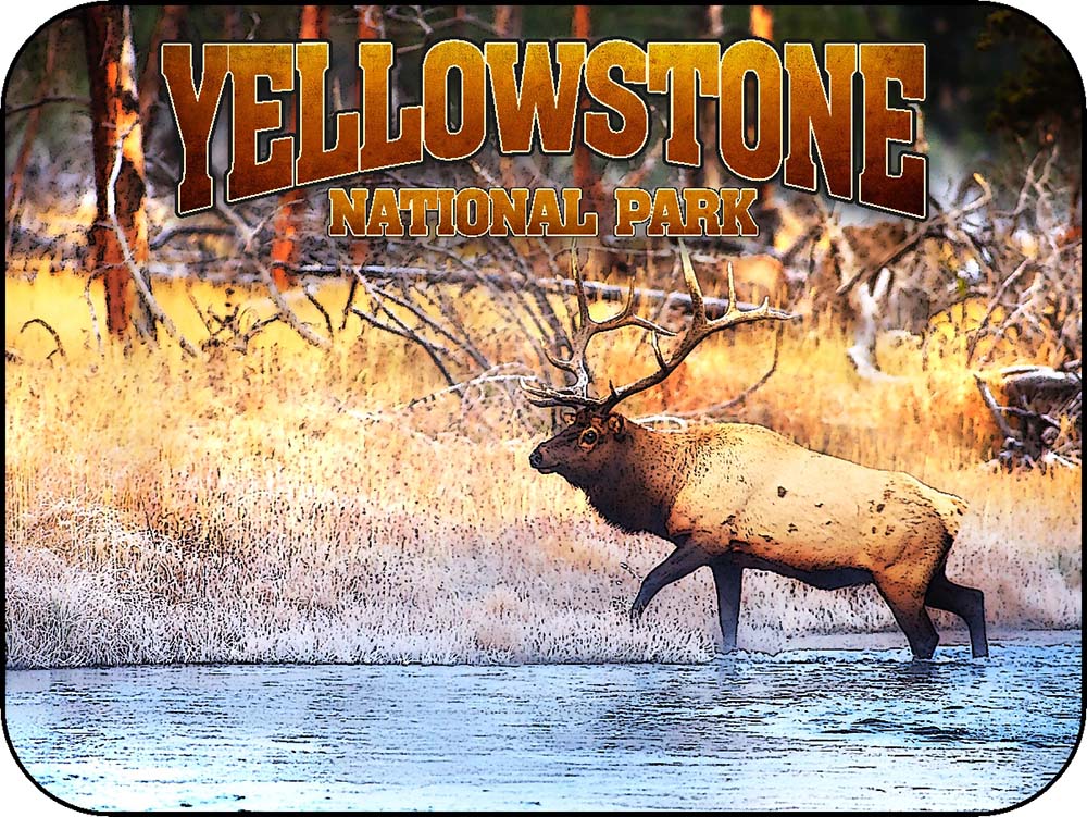 Yellowstone Elk Creek