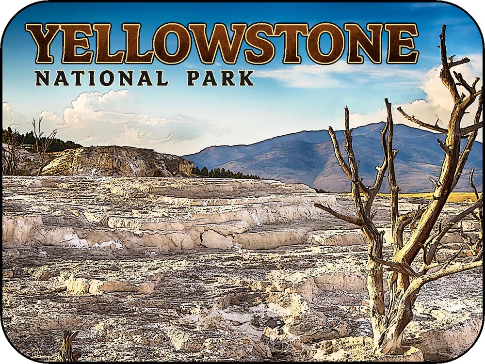 Yellowstone Mammoth Hot Springs Tree